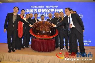 贵州普安县新闻爆料,新闻爆料揭示当地最新动态