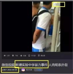 深圳小李爆料事件视频最新,事件真相与网络舆论交锋